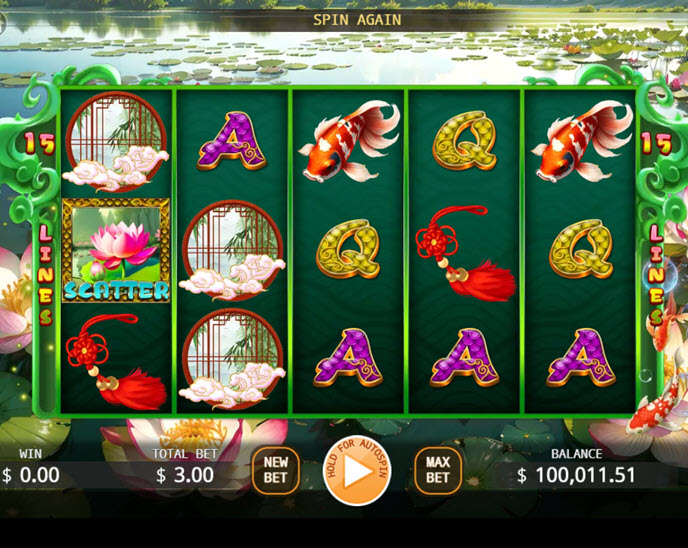 Carp Princess