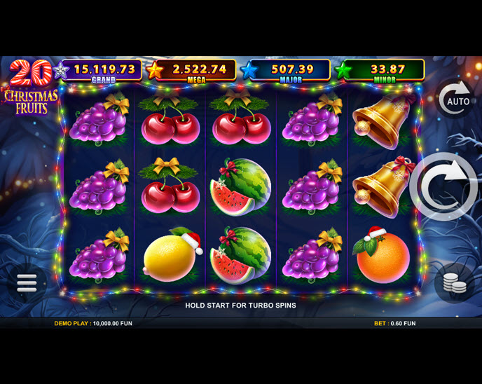20 Christmas Fruits